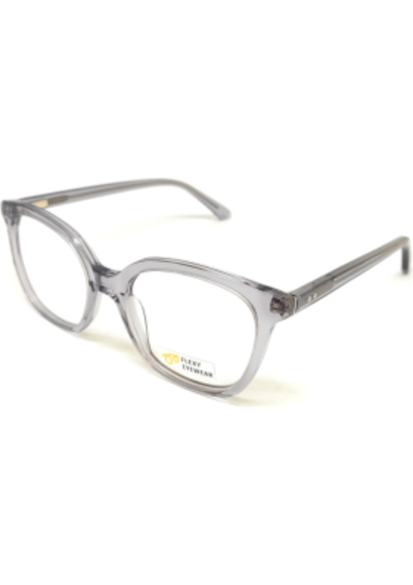 Flexy Eyewear FE AK 22383 C3 (47)