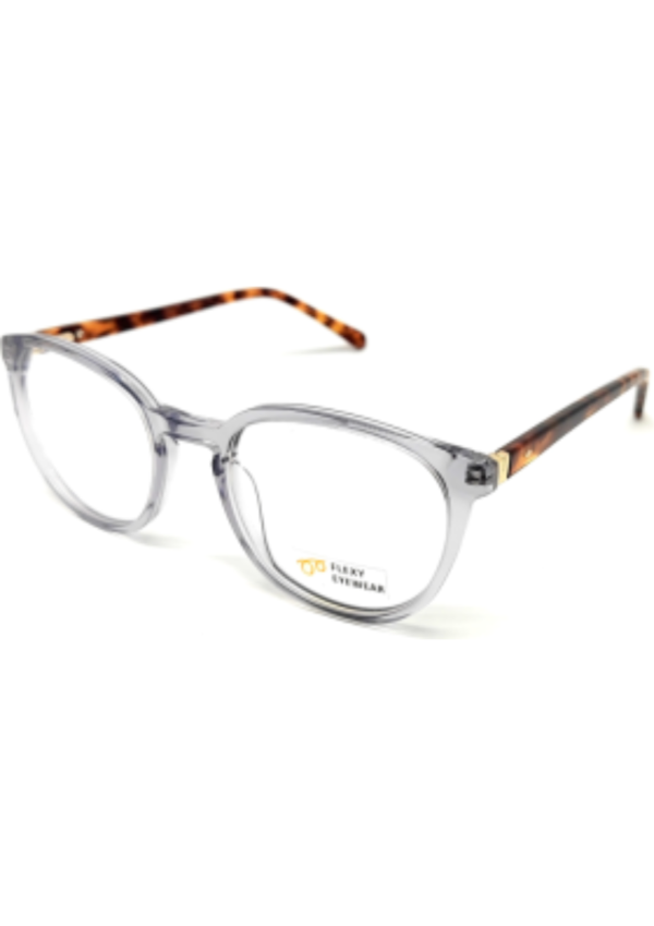 Flexy Eyewear FE AN 21085 C1 (49)