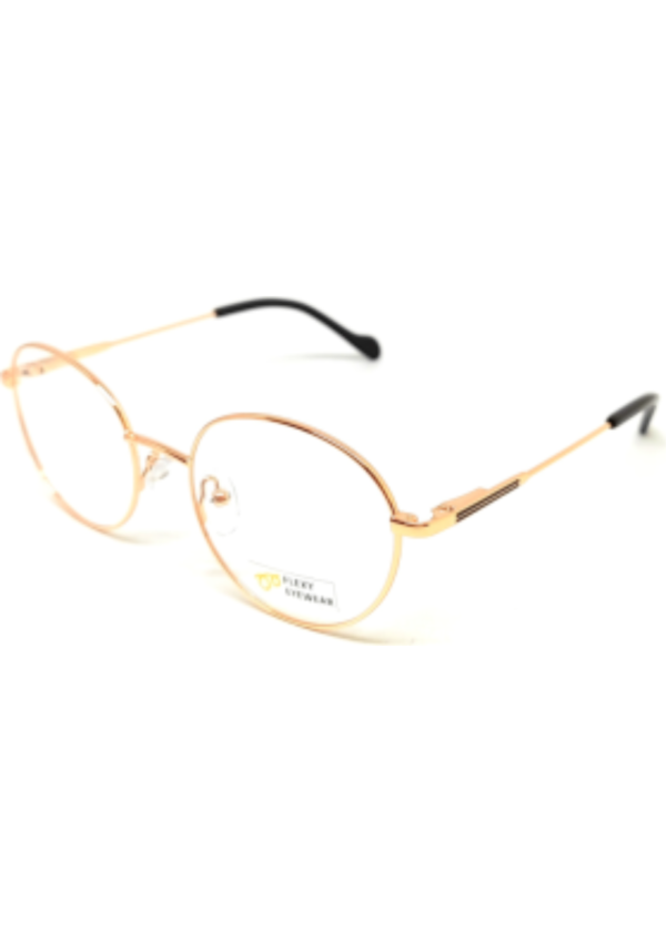 Flexy Eyewear FE MN 22132 C2 (49)