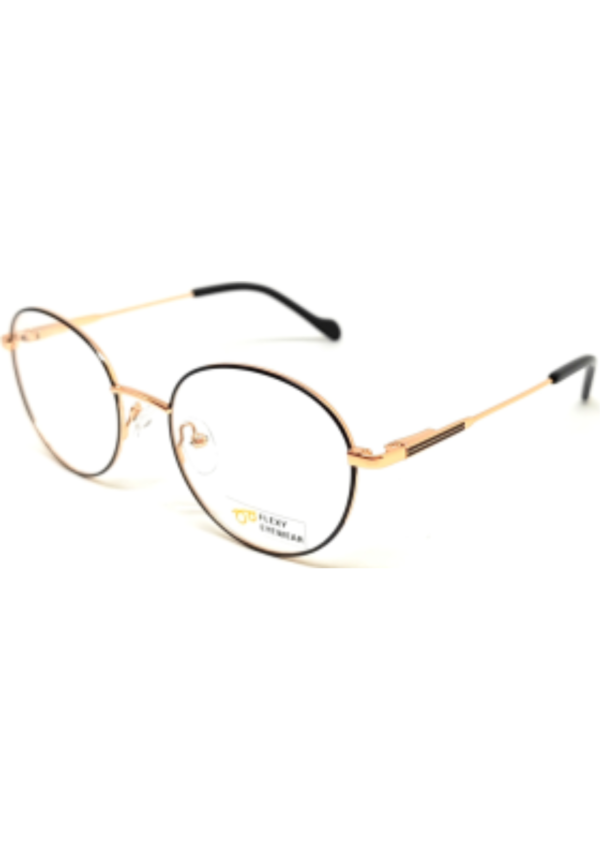 Flexy  Eyeweas FE MN 22132 C1 (49)